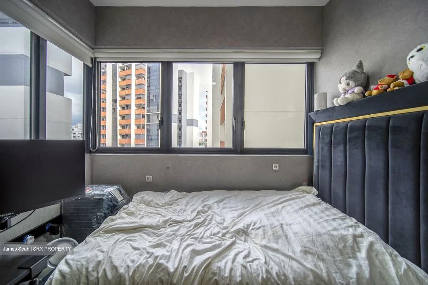 Riverfront Residences (D19), Apartment #549939561